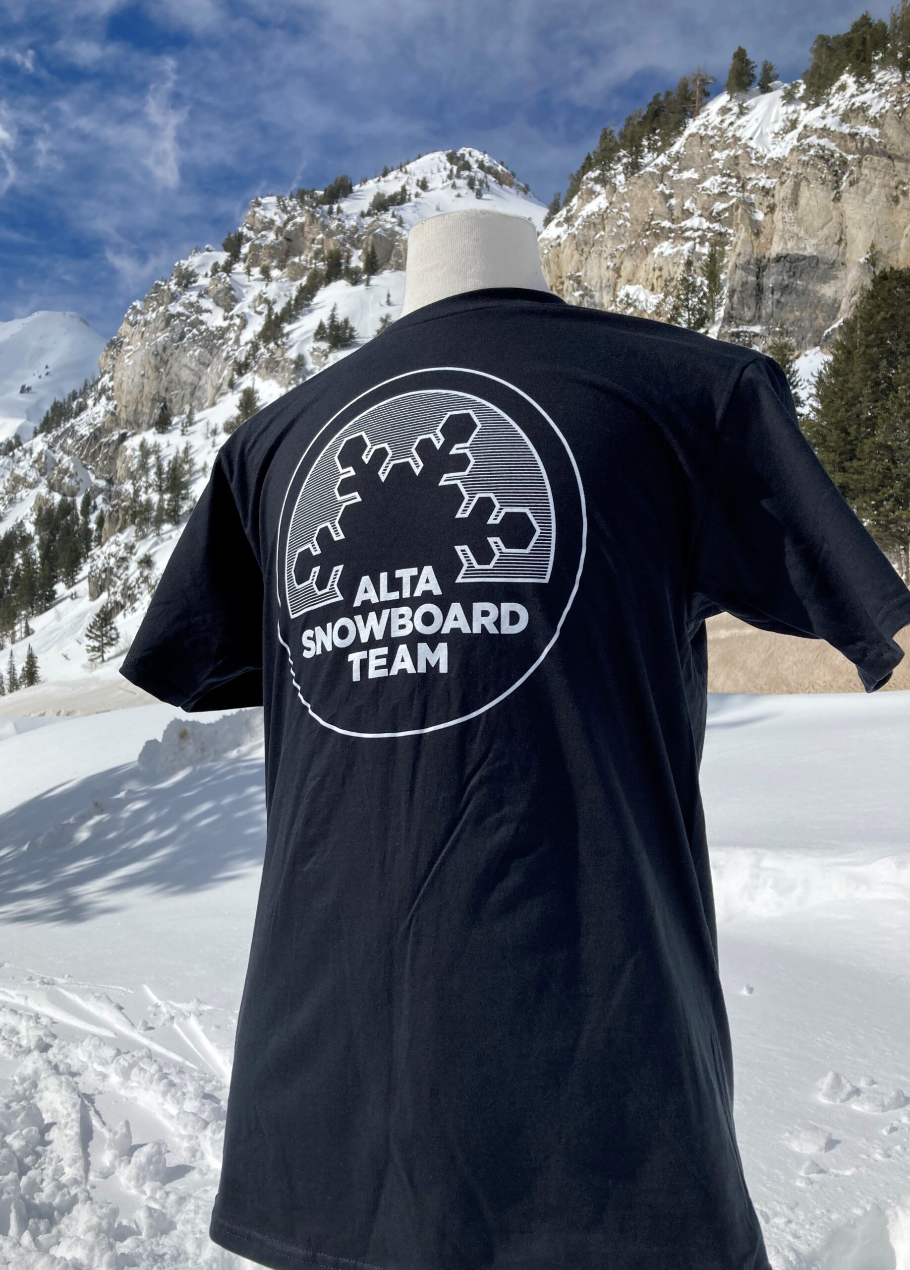 Ster Bandiet Gebeurt Unisex Alta Snowboard Team T-Shirt | Alta Snowboard Team Unisex Alta  Snowboard Team T-Shirt